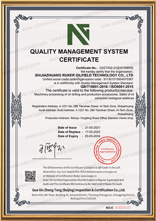 13--ISO 9001